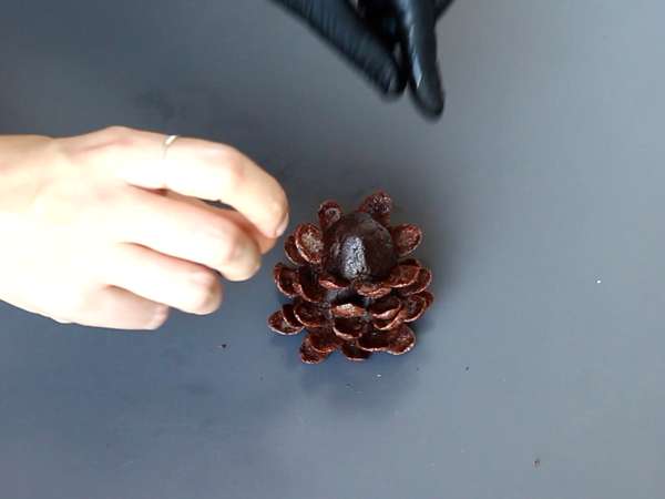 Μετατρέψτε το brownie σας σε σοκολατένιο κουκουνάρι! - Προετοιμασία βήμα 6