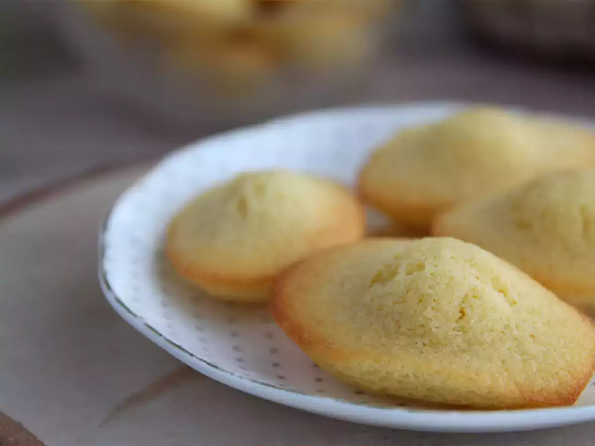 Εύκολη συνταγή για απλά, αφράτα madeleines - φωτογραφία 4
