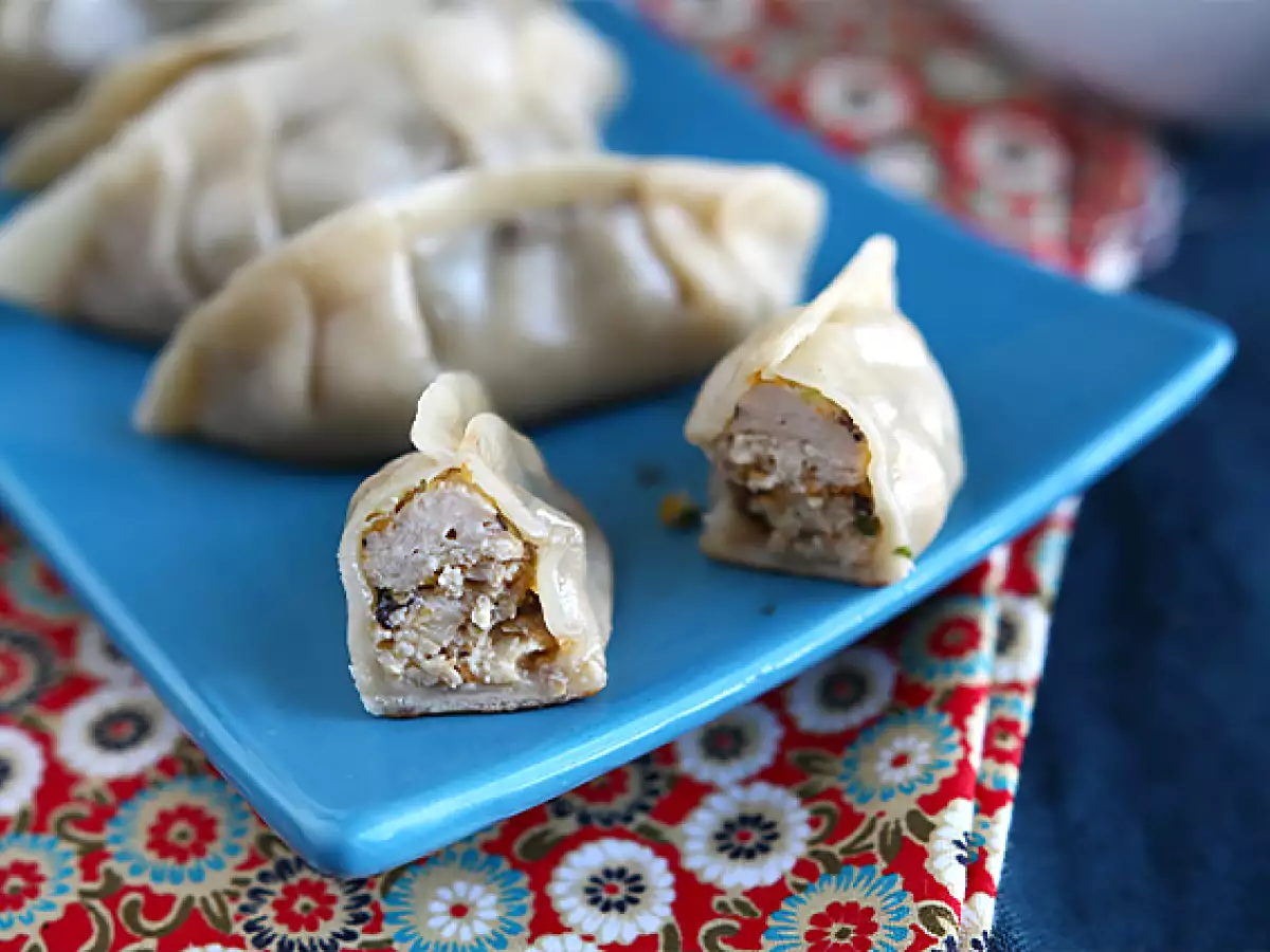 Gyozas με κοτόπουλο, καρότα και μανιτάρια - φωτογραφία 5