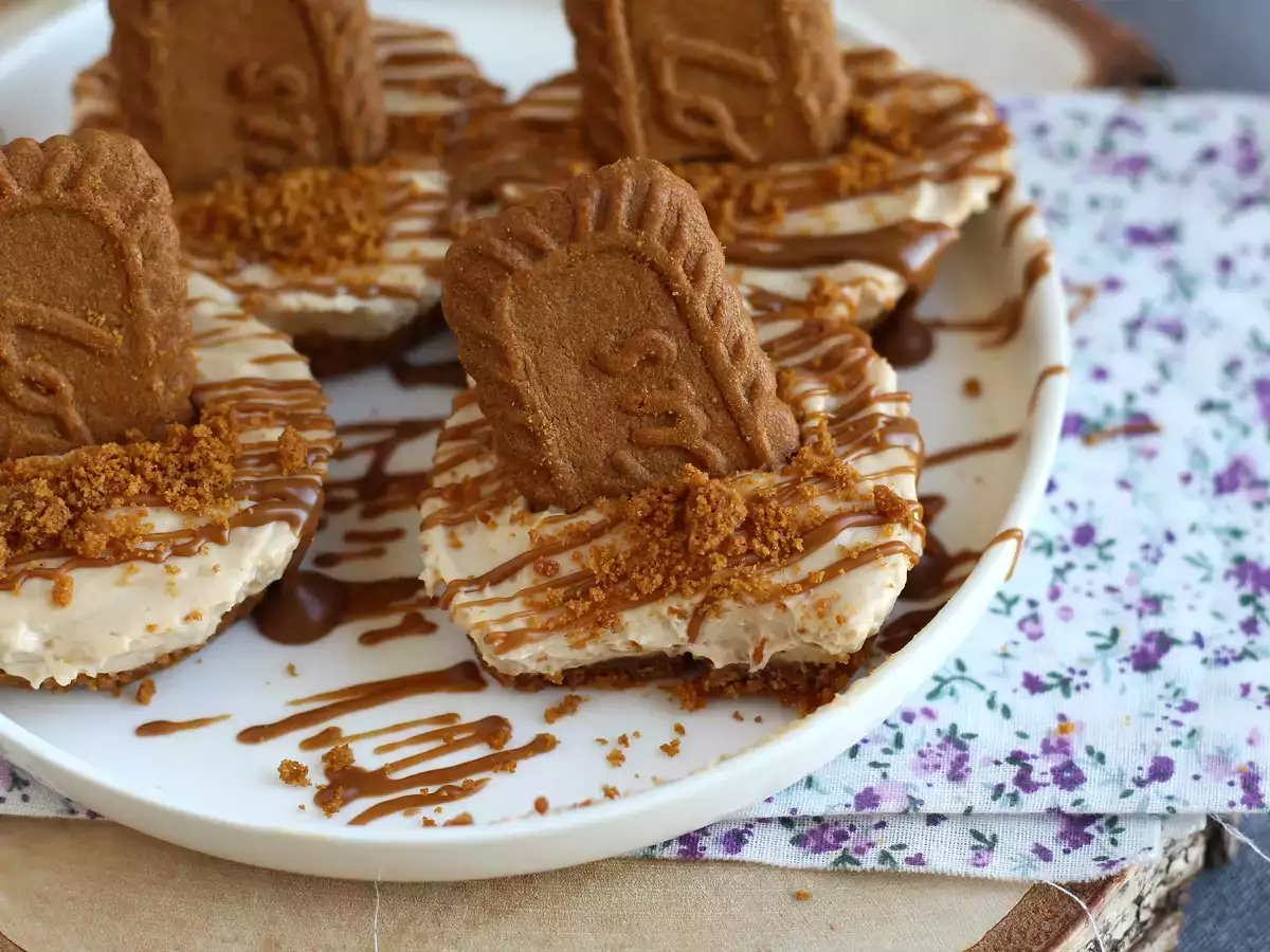 Τυρόπιτες χωρίς ψήσιμο με μπισκότα speculoos - φωτογραφία 2